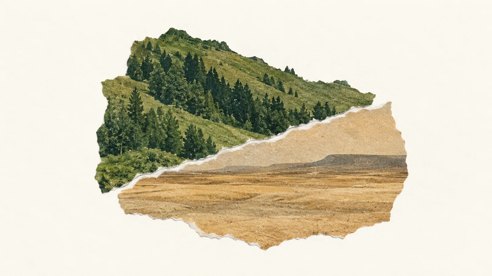 Conceptual AI paper collage: wooded hills and a sandy plain meet along a torn seam without forming a real map.